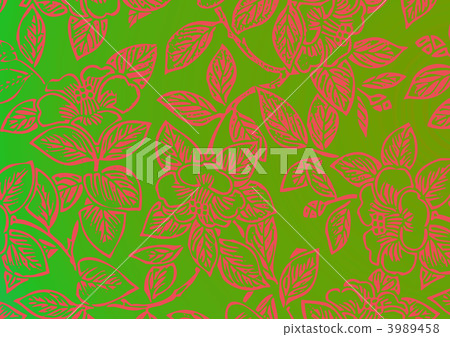 茶梅 茶花凍土 冬天的玫瑰 3989458