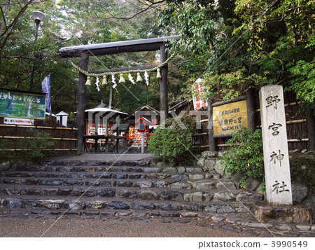 kuroki torii, nonomiya shrine, marriage 3990549