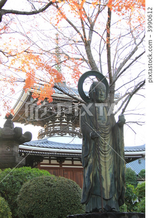 護國寺 護國寺 3990612