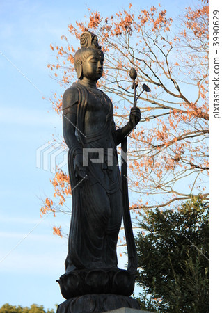 "Mr. Kannon" at Gokokuji 3990629