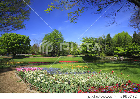 Flower garden at the waterfront Flower garden at the waterfront 3990752