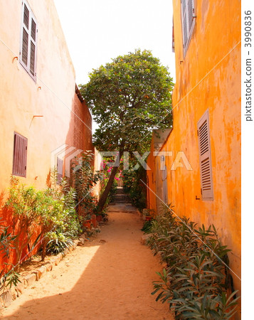 Senegal · Gore Island Senegal · Gore Island 3990836