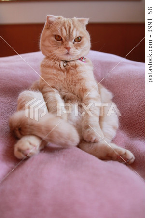 Squat sitting 3991158