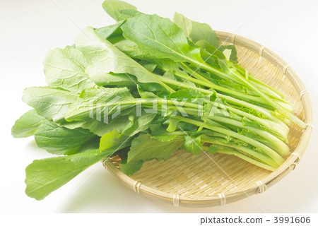 Vegetable oil Vegetable oil 3991606