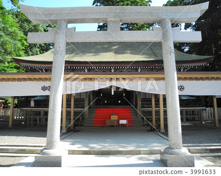 地震後的鹿島神宮 地震後的鹿島神宮 3991633