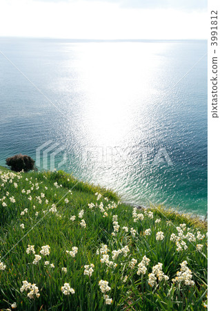 Nada Kuroiwa Water Sengoku Nada Kuroiwa Water Sengoku 3991812