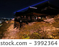 京都Kiyomizu塔櫻花在晚上 3992364