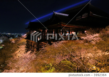 京都Kiyomizu塔櫻花在晚上 3992364