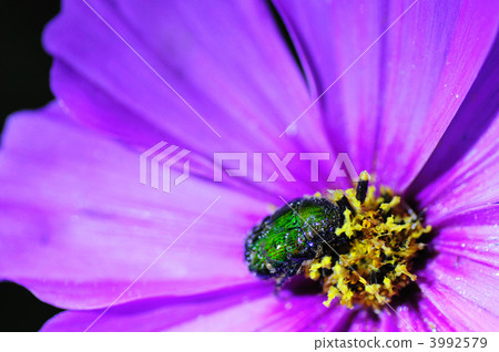 Sleep gruesome 3992579