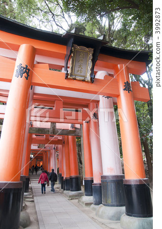 在Inari神社的Torii入口附近 在Inari神社的Torii入口附近 3992873