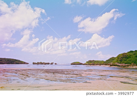 沙灘沙灘（西表島/沖繩縣） 3992977