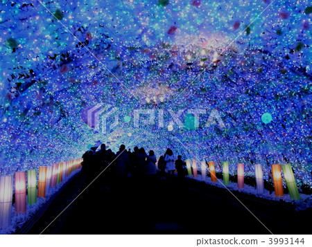 照明 彩燈 燈飾 3993144