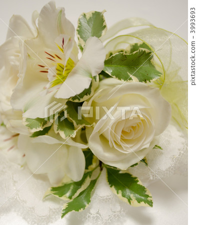 Roses' corsage 3993693
