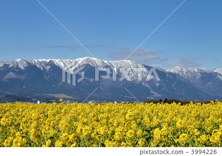 琵琶湖納米納公園 琵琶湖納米納公園 3994226