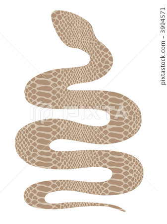 蛇圖案米色剪影 蛇圖案米色剪影 3994571