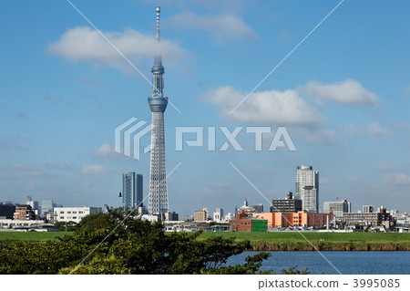 Kawahara of Arakawa spreading blue sky and Tokyo sky tree 3995085