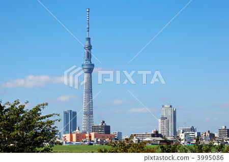 Kawahara of Arakawa spreading blue sky and Tokyo sky tree 3995086