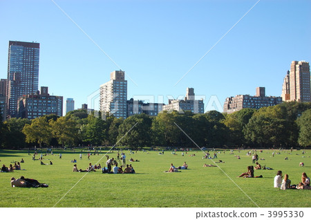 central park, north american, new york 3995330