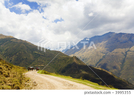 On the road in Andes On the road in Andes 3995355