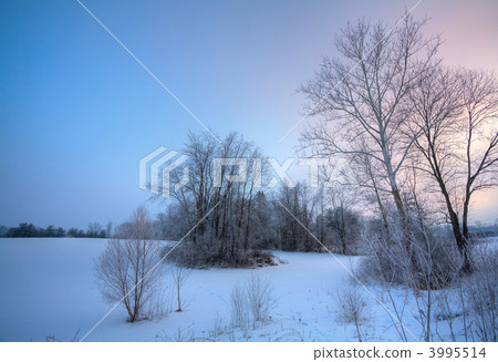 Winter scene 3995514