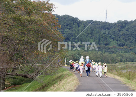 The bank of Hamura Tamagawa The bank of Hamura Tamagawa 3995806