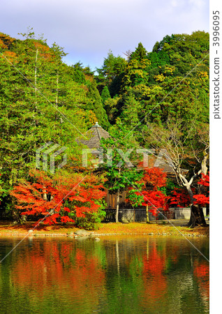 White Water Amidado 3996095