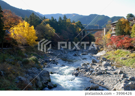 在多摩川谷 3996426