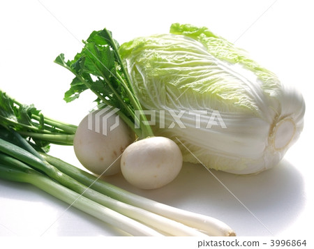 冬天的蔬菜 3996864