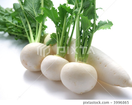 頭飾Daikon 頭飾Daikon 3996865