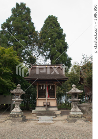 Hireyama Shrine company in Shina Shrine 3996950