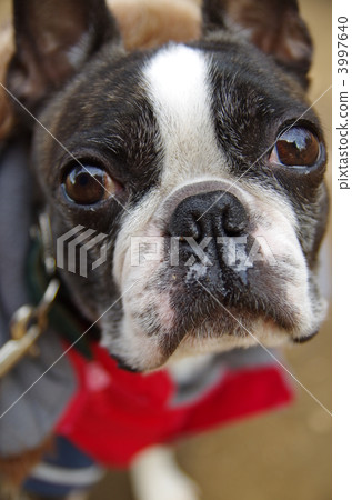 注意感冒！ 3997640