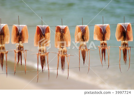 Making slices 3997724