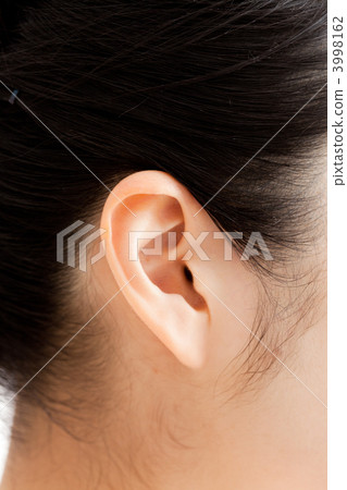 耳朵 有益健康的 健康 3998162