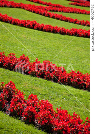 Lawn with flowers Lawn with flowers 4002792