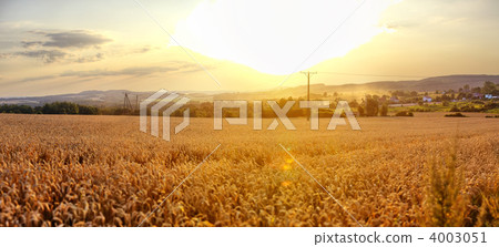 Sunset landscape in Poland Sunset landscape in Poland 4003051