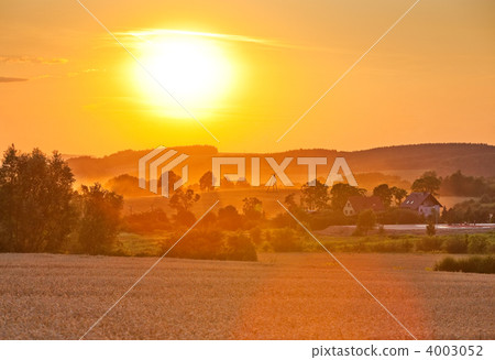 Summer landscape Summer landscape 4003052