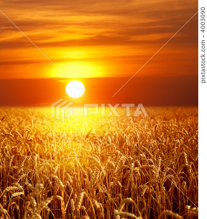 Sunset landscape 4003090
