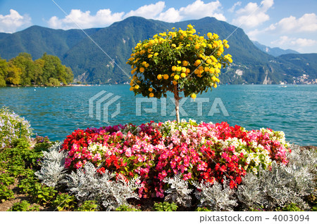 Beautiful decorative tree Beautiful decorative tree 4003094