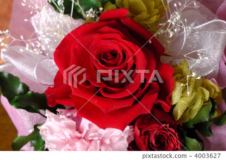 preserved flower, rose, roses 4003627