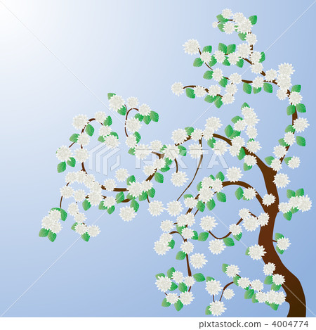 Floral Floral 4004774