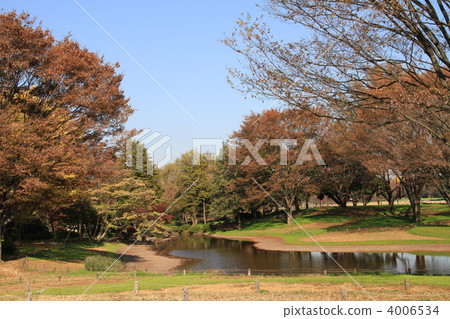 昭和紀念公園 昭和紀念公園 4006534
