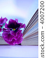 pansy, bloom, blossom 4007200