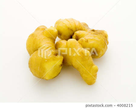 ginger ginger 4008215