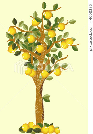 Lemon tree 4008386