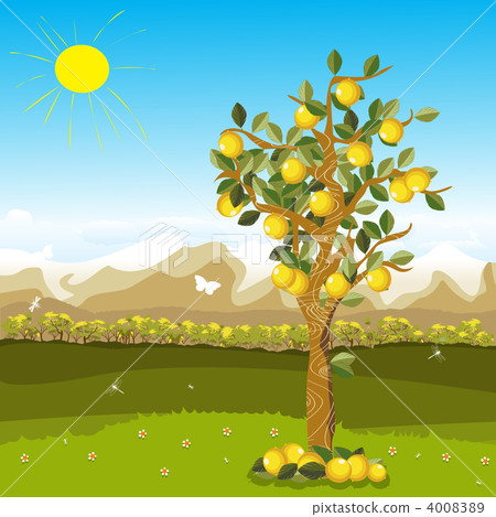 Lemons Lemons 4008389