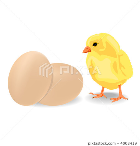 Little chiken with eggs Little chiken with eggs 4008419