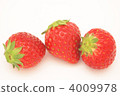 tochiotome草莓 草莓 三個（物品） 4009978