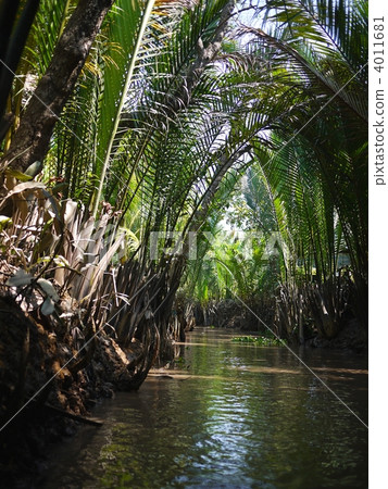 Mekong River Tributary 4011681