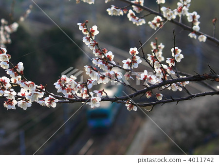 Early spring scenery 4011742