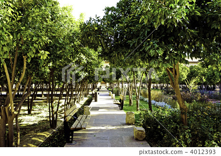 Carrie Hearn Fort伊朗 4012393